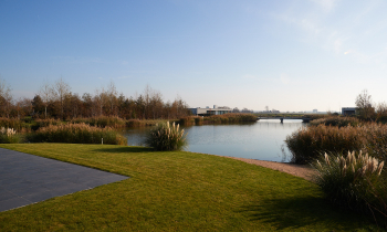20201107 VdPoel Groote Duynen 35.jpg